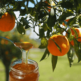 Raw Greek Orange Blossom Mountain Honey