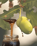 Organic Raw Oak Honey